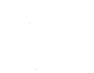 OWASP